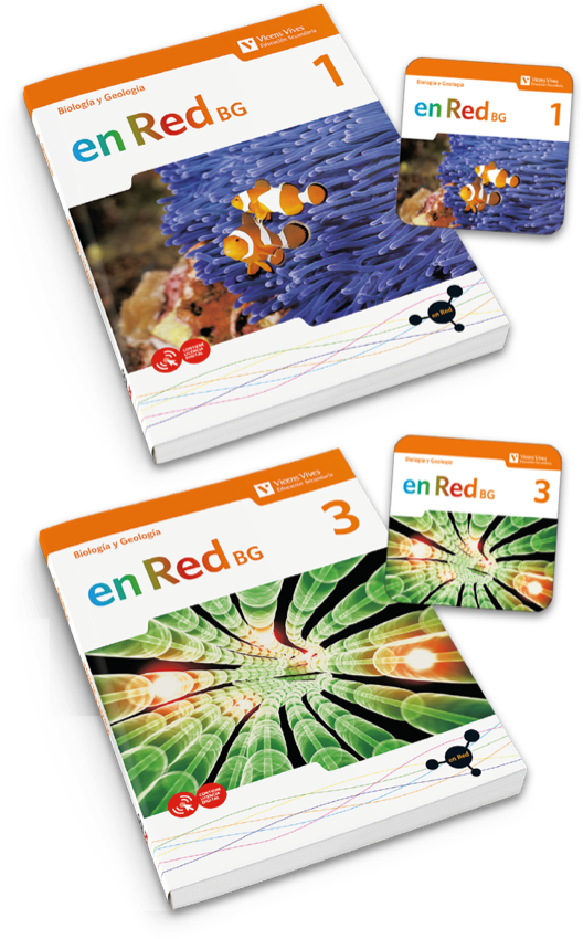 en Red